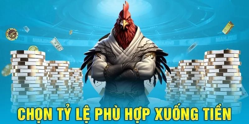 Kinh nghiệm tham gia đá gà chuẩn là chọn tỷ lệ đúng 